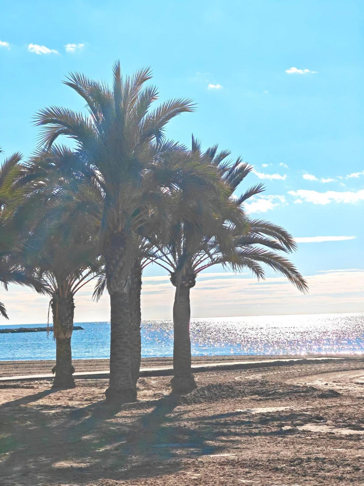 Bungalow Gaviota Con Playa Y Terraza Villa Santa Pola Luaran gambar